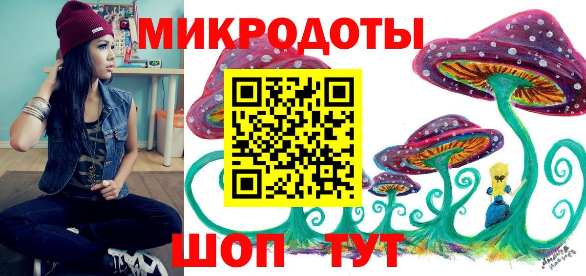 Псилоцибиновые грибы Psilocybine cubensis Лабытнанги