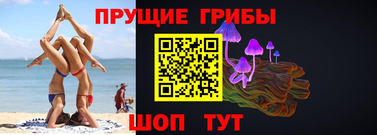 Псилоцибиновые грибы Psilocybe  Вход с VPN  Лабытнанги 